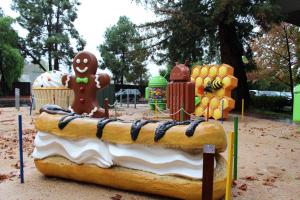 IMG 4521 (1)